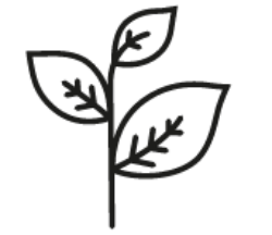Logo Pflanze
